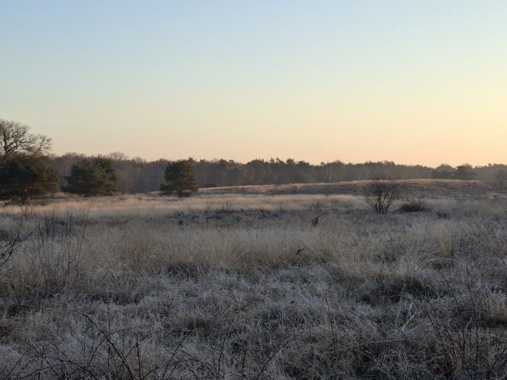 Deze afbeelding heeft een leeg alt-attribuut; de bestandsnaam is 20250308_074314-1024x768.jpg